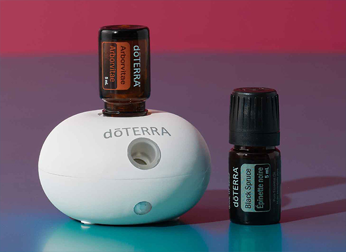 Bubble Salt Diffuser + Arborvitae 5 mL & Black Spruce 5 mL